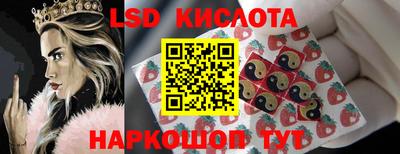 бошки Сланцы