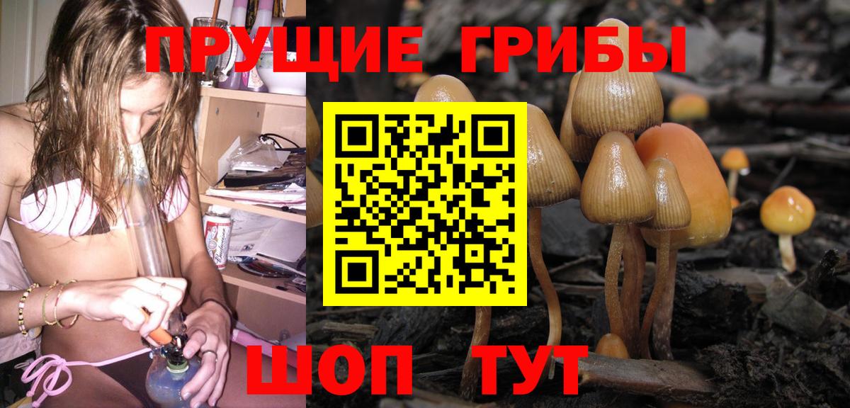 Протвино  купить наркоту  Галлюциногенные грибы мицелий  Вход с VPN  Галлюциногенные грибы прущие грибы 