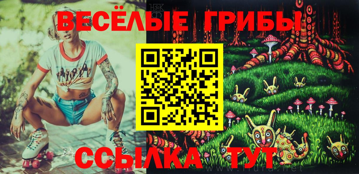 Псилоцибиновые грибы GOLDEN TEACHER Протвино
